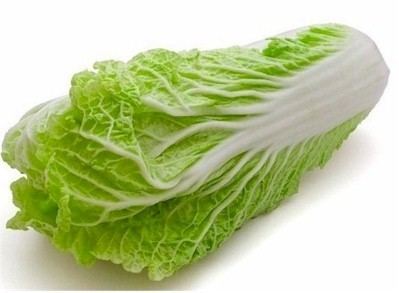 Napa cabbage Napa Cabbage Article GourmetSleuth