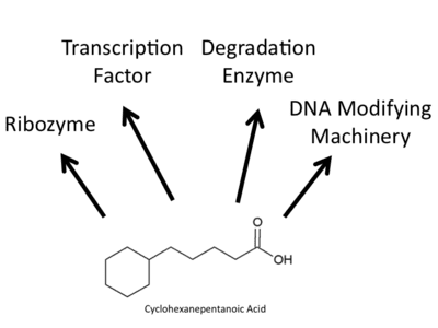 Naphthenic acid Acid
