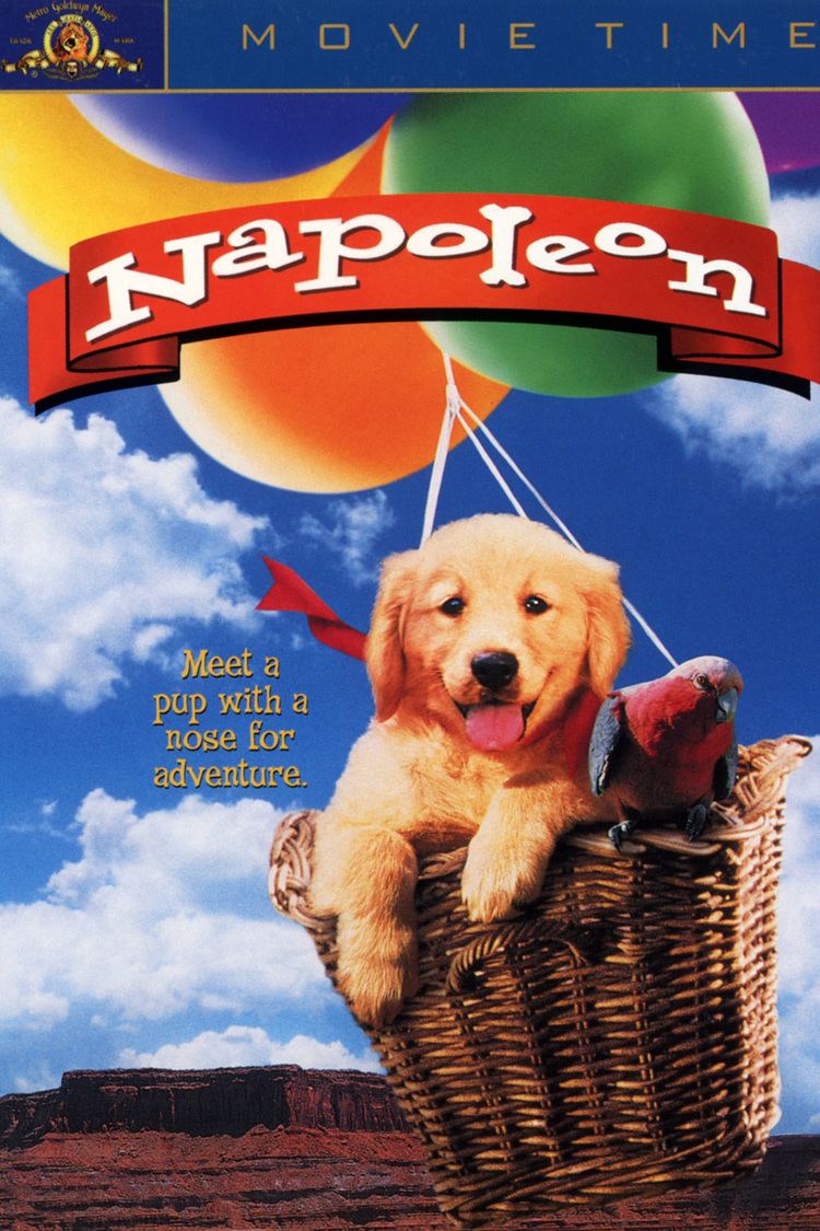 Napoleon (1995 film) wwwgstaticcomtvthumbdvdboxart84191p84191d