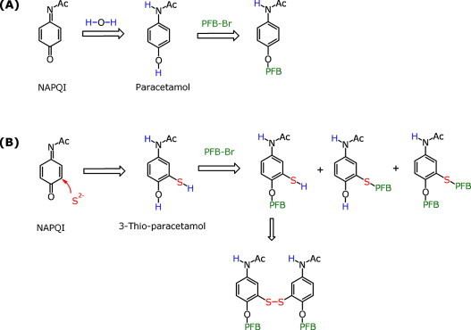 NAPQI Trapping of NAPQI the intermediate toxic paracetamol metabolite by