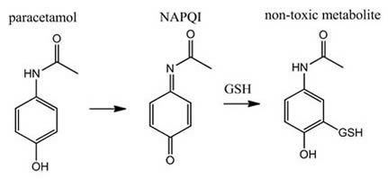 NAPQI Medicinal Chemistry Understanding Drug Metabolism