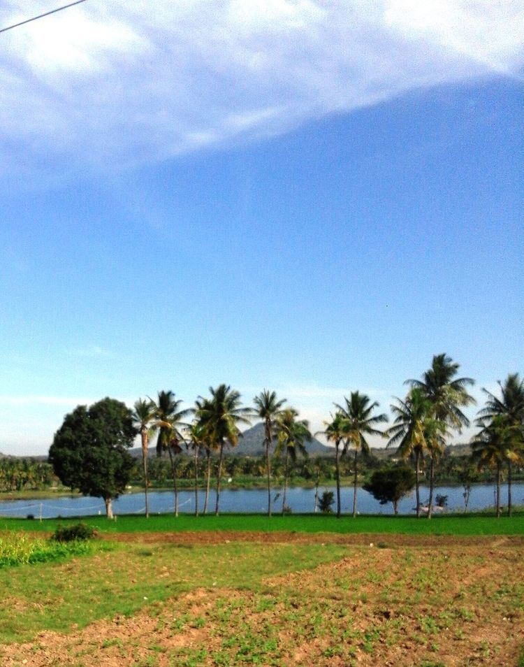 Narayanapura