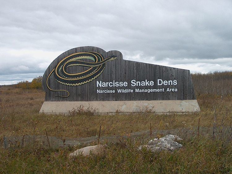 Narcisse Snake Pits