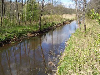 Narewka (river) httpsuploadwikimediaorgwikipediacommonsthu