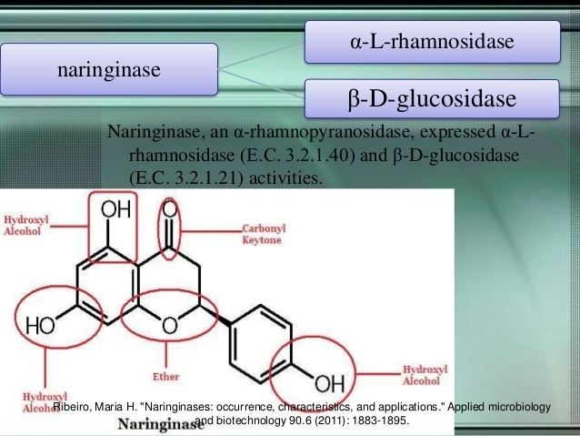 Naringinase Industrial enzymes naringinase