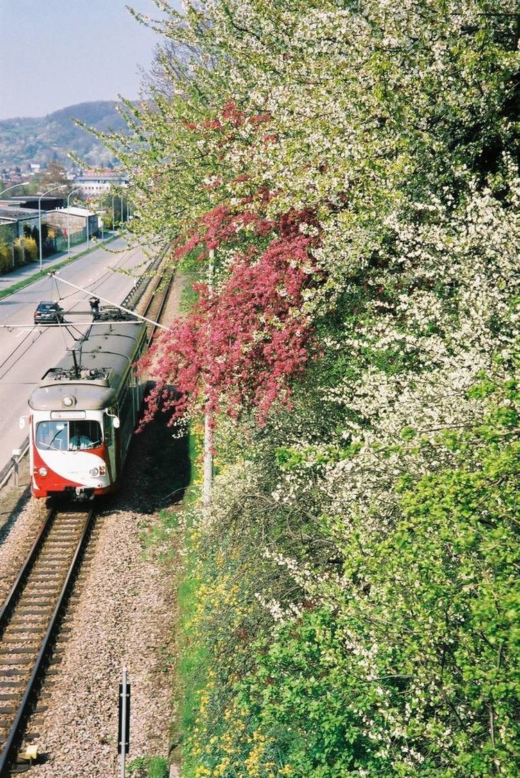 Narrow-gauge railways in Germany