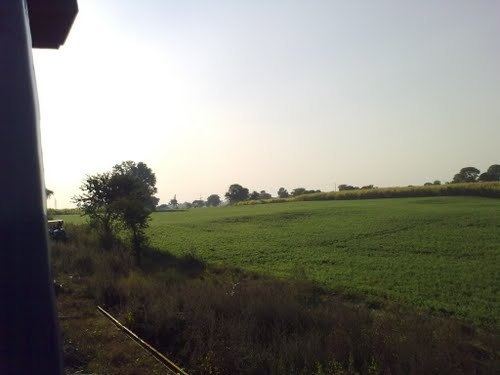 Narsinghpur Beautiful Landscapes of Narsinghpur