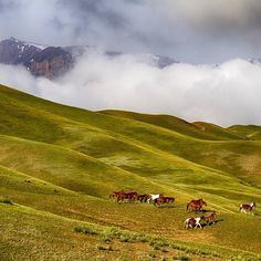 Naryn Region httpssmediacacheak0pinimgcom236x31bc1d