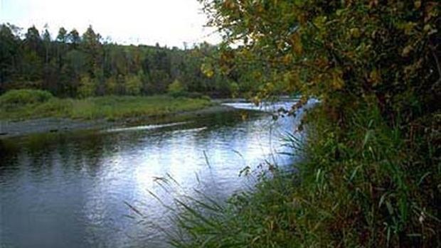 Nashwaak River Nature vs economic nurturing divides Nashwaak Valley New