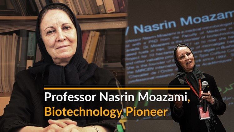 Nasrin Moazami Professor Nasrin Moazami YouTube
