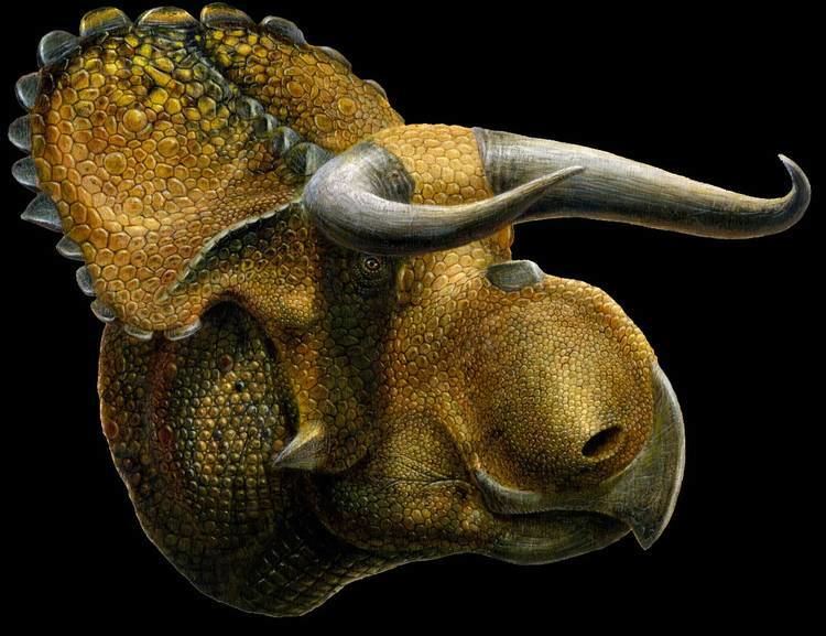 Nasutoceratops cdnscinewscomimagesenlargeimage12371eNasu