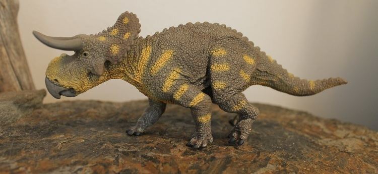 Nasutoceratops Nasutoceratops Wild Safari by Safari Ltd Dinosaur Toy Blog