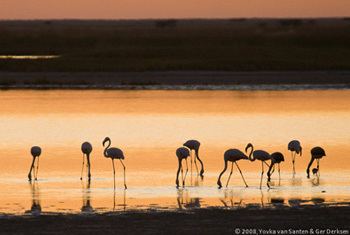 Nata Bird Sanctuary Botswana Footprints Nata and Gweta