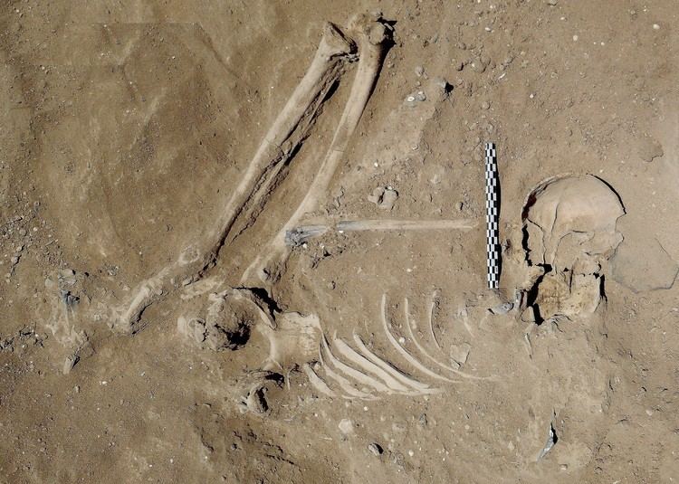 Nataruk Evidence of a prehistoric massacre extends the history of warfare