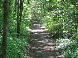 Natchez Trace Trail httpsuploadwikimediaorgwikipediacommonsthu