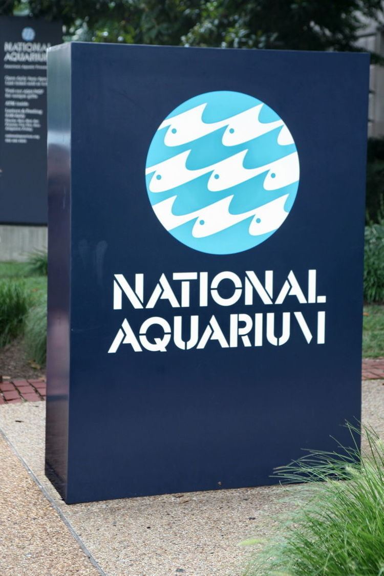 National Aquarium in Washington, D.C.