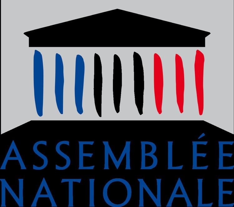 National Assembly France Definition