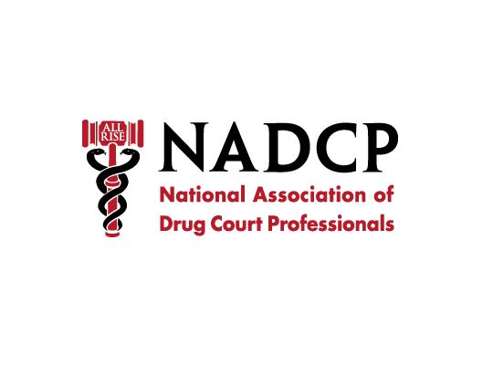National Association of Drug Court Professionals wwwxanthusdesigncomidentitiesimagesidentityN