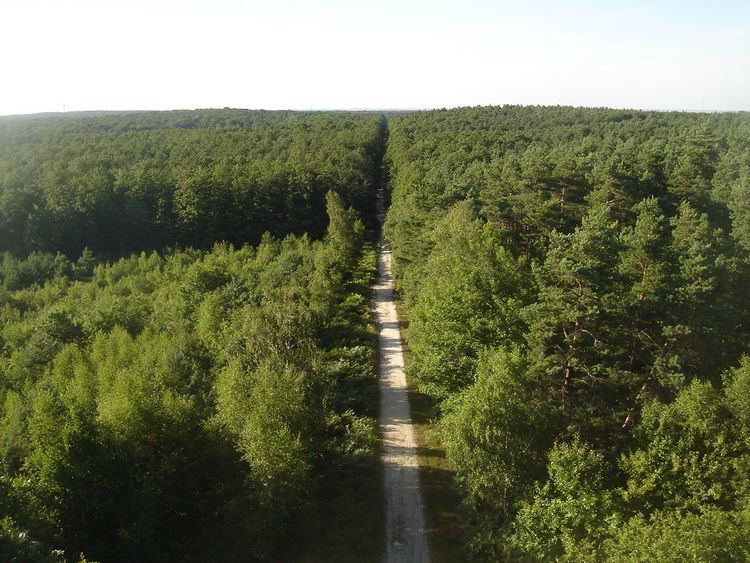 National forest (France)