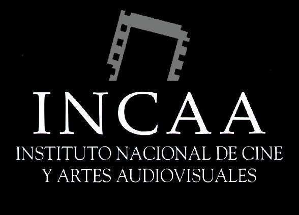 National Institute of Cinema and Audiovisual Arts httpsvideojujuycortosfileswordpresscom2007