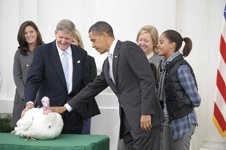 National Thanksgiving Turkey Presentation Obama pardons National Thanksgiving Turkey World News SINA English