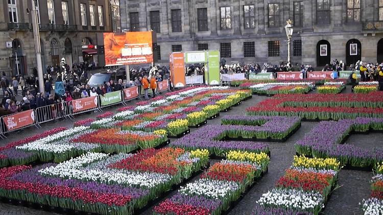 National Tulip Day National Tulip Day Amsterdam 2016 YouTube