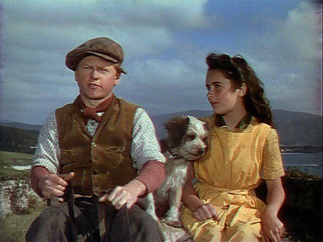 National Velvet (film) FILM National Velvet The House of Two Bows