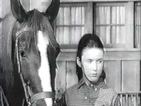 National Velvet (TV series) National Velvet TV Series The Swindler Not Complete YouTube