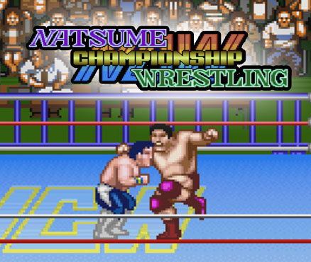 Natsume Championship Wrestling Natsume Championship Wrestling Super Nintendo Games Nintendo