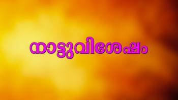 Nattu Vishesham Watch Nattu Vishesham Full Movie Online in HD for Free on hotstarcom