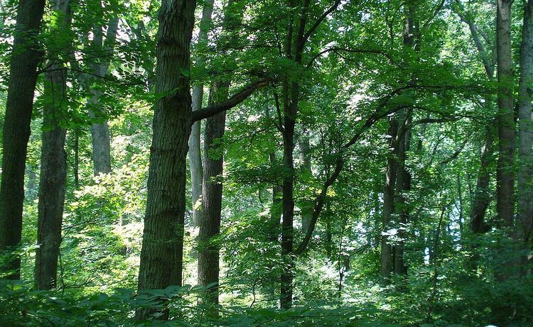 Natural Environment Area (Maryland)