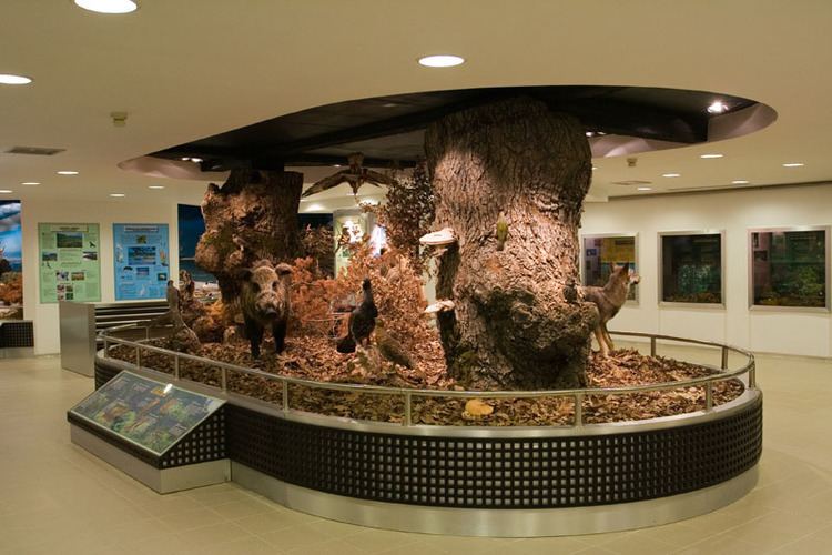 Natural History Museum (Paranesti)