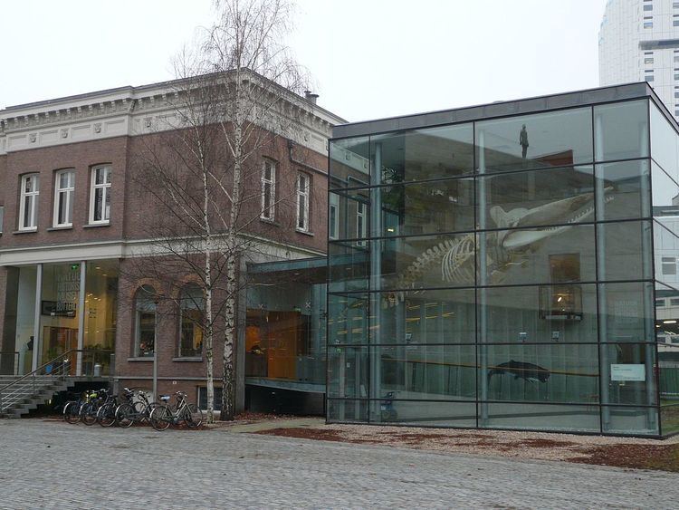 Natural History Museum Rotterdam