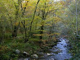 Natural Park of Fuentes del Narcea, Degaña e Ibias httpsuploadwikimediaorgwikipediacommonsthu
