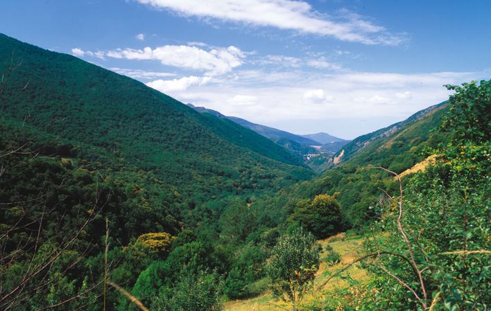 Natural Park of Fuentes del Narcea, Degaña e Ibias Parque Natural de las Fuentes del Narcea Degaa e Ibias Asturias
