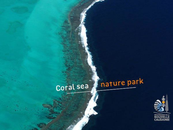 Natural Park of the Coral Sea Coral sea nature park Ressources Agence des aires marines protges