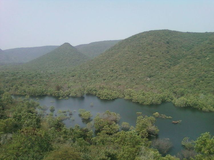 Natural vegetation and wildlife of Andhra Pradesh