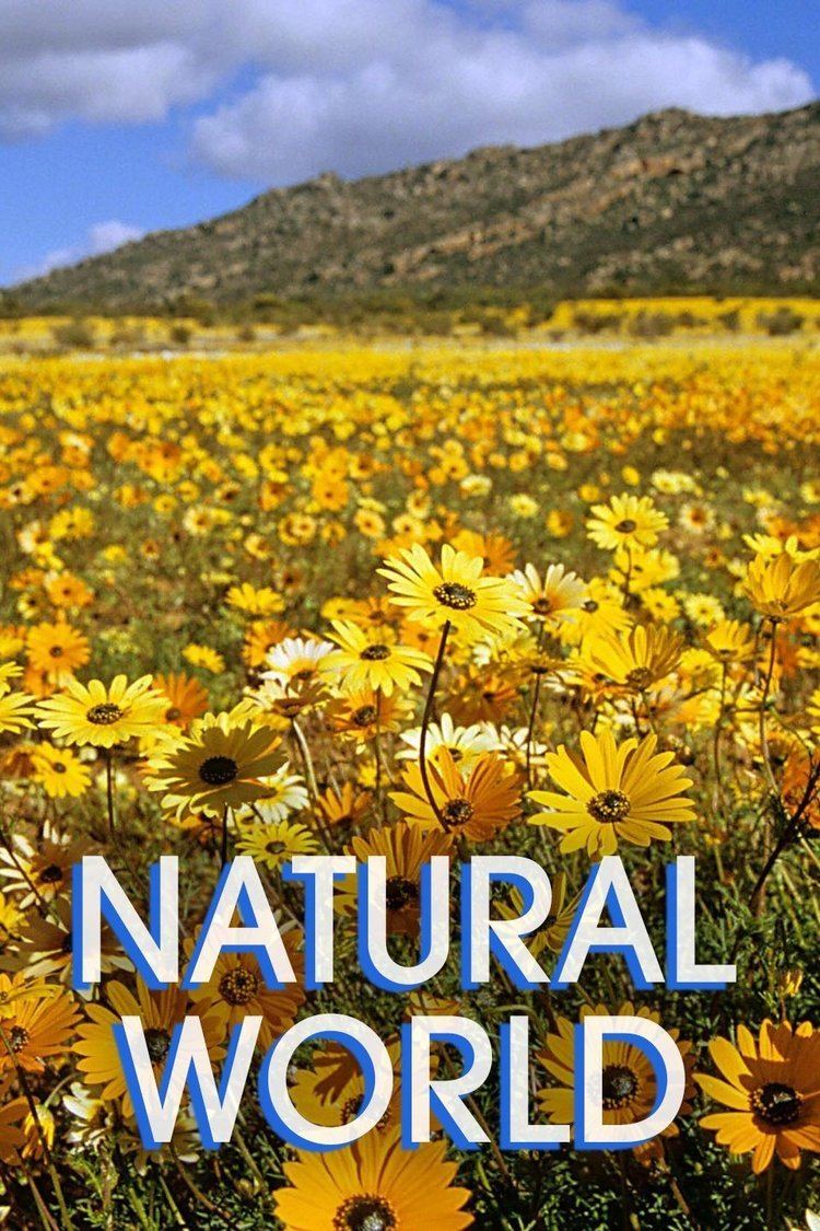 Natural World (TV series) wwwgstaticcomtvthumbtvbanners450258p450258