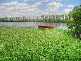 Nature Reserve Banks of Castronuño httpsuploadwikimediaorgwikipediacommonsthu