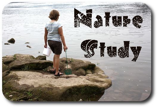 Nature study Nature Study