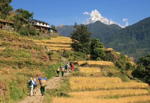 Naudanda Naudanda Hiking Hike Pokhara to Naudanda