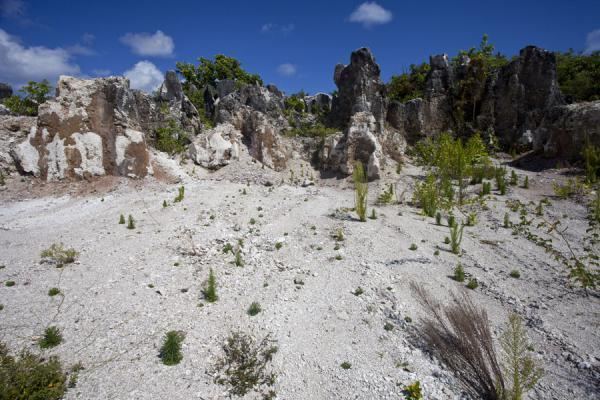 Nauru Beautiful Landscapes of Nauru