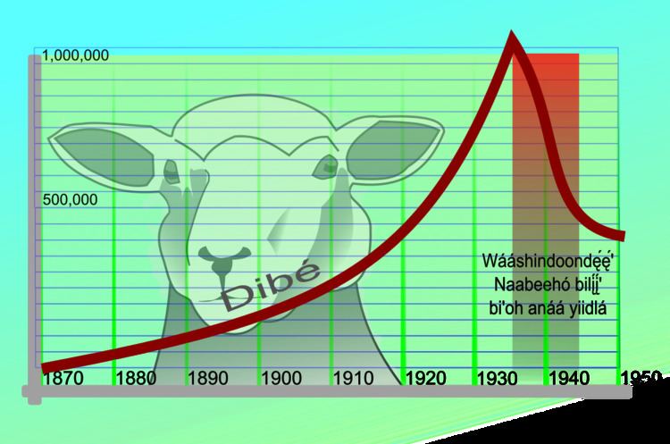 Navajo Livestock Reduction