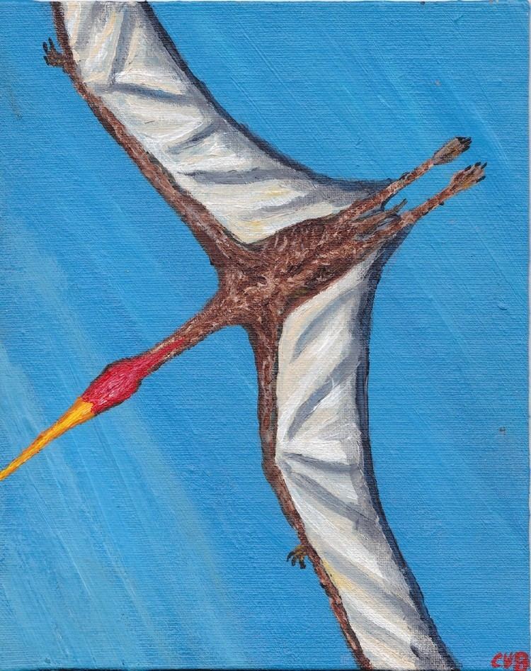 Navajodactylus imagesdinosaurpicturesorgnavajodactylusdinosa