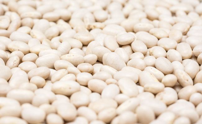 Navy bean International Food Trader Global market coverage on specialty