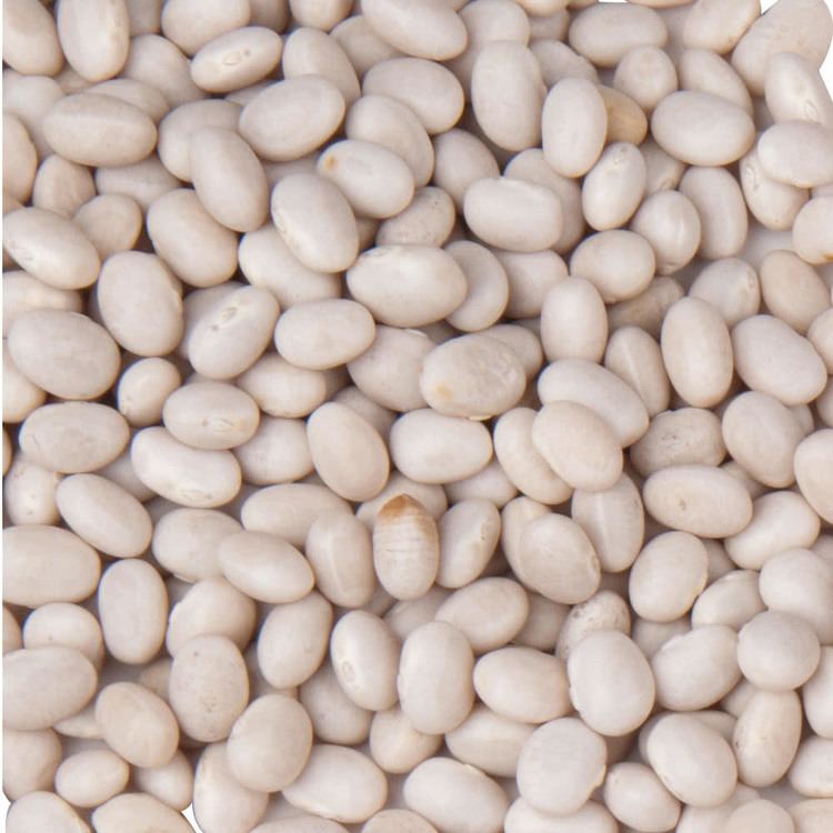 Navy bean Dried Navy Beans 20 lb