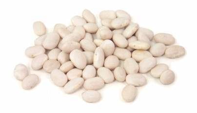 Navy bean Cook39s Thesaurus Dry Beans