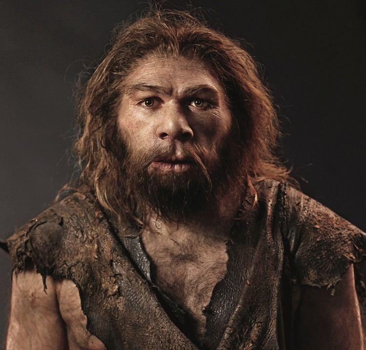 Neanderthal - Alchetron, The Free Social Encyclopedia