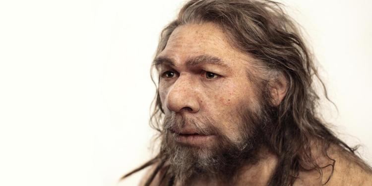 Neanderthal BBC Earth What did the Neanderthals do for us