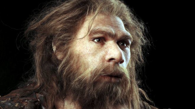 Neanderthal Neanderthals and humans interbred 39100000 years ago39 BBC News